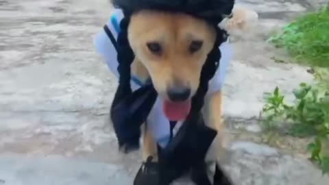 Best model