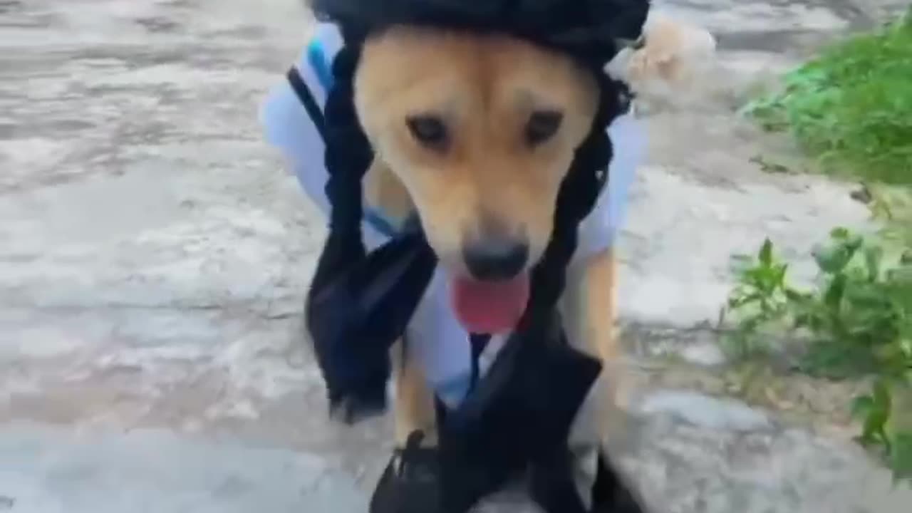 Best model