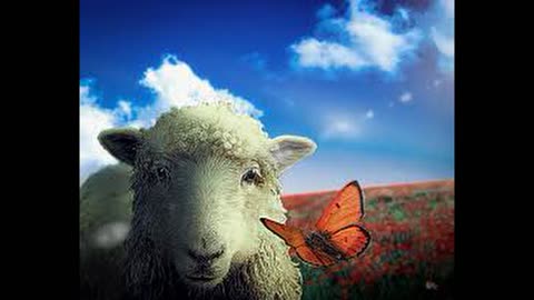 VLOG: Silence Of The Lambs