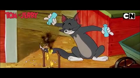 Tom & Jerry’s Fun Fest! 🤩 | #tomandjerry | Funny Cartoon video 😆 | Compilation | Non Stop |