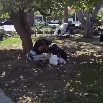 Socialist LA leader making $240K to reign over drug-infested park as it crumbles