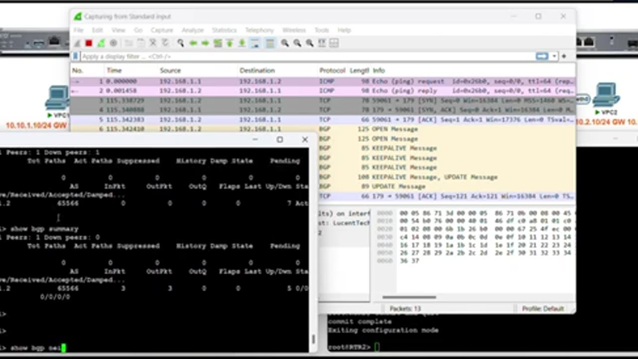 Juniper Routing: How to configure basic BGP on a Juniper Junos device