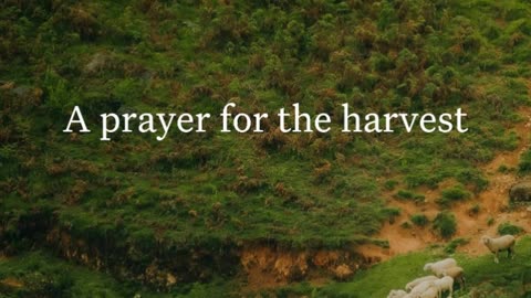 A prayer for the harvest