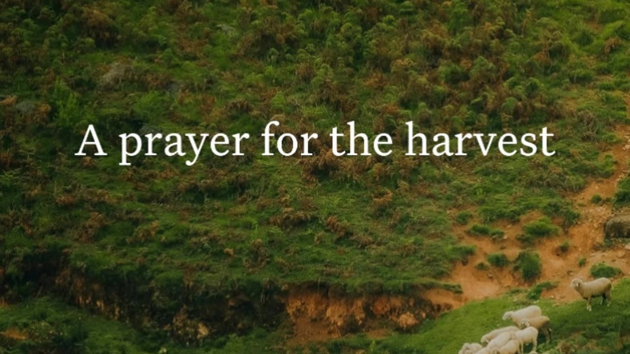 A prayer for the harvest