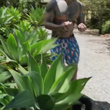 ¡El Caos Canino! Dobby y Lilo Crean un 'Bebé' Diablo 🤣😂 #jefersoncossio #guatapecolombia #Rivercli