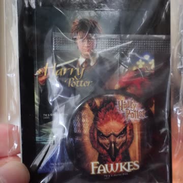 Harry Potter Japanese Mail Day!