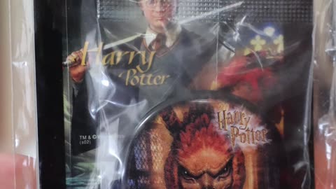 Harry Potter Japanese Mail Day!