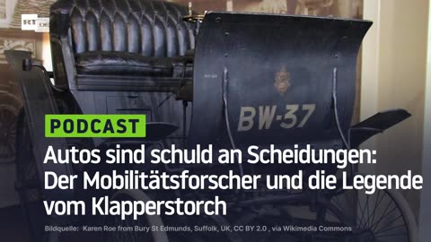 Autos sind schuld an Scheidungen: Der Mobilitätsforscher und die Legende vom Klapperstorch