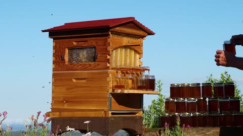 The world's most innovative beehive
