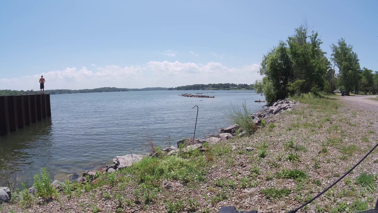 duck drama at the lake
