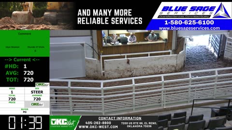 8/27/2025 - Feeder Calf Auction - OKC West