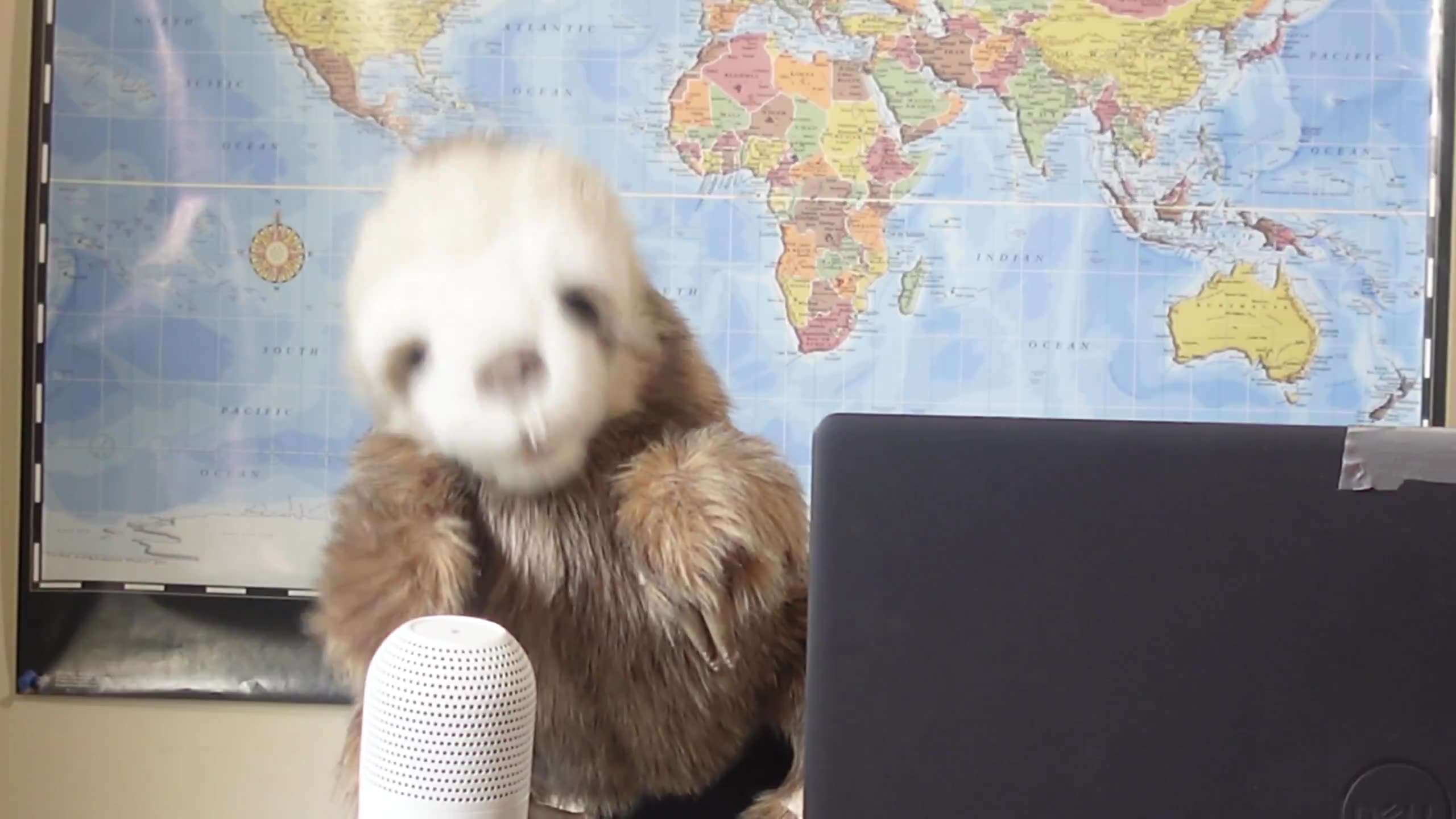 Will Chrystia Freeland save Ukraine ?