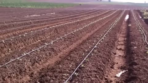 How Israel Is Transforming a Desert into Farmland