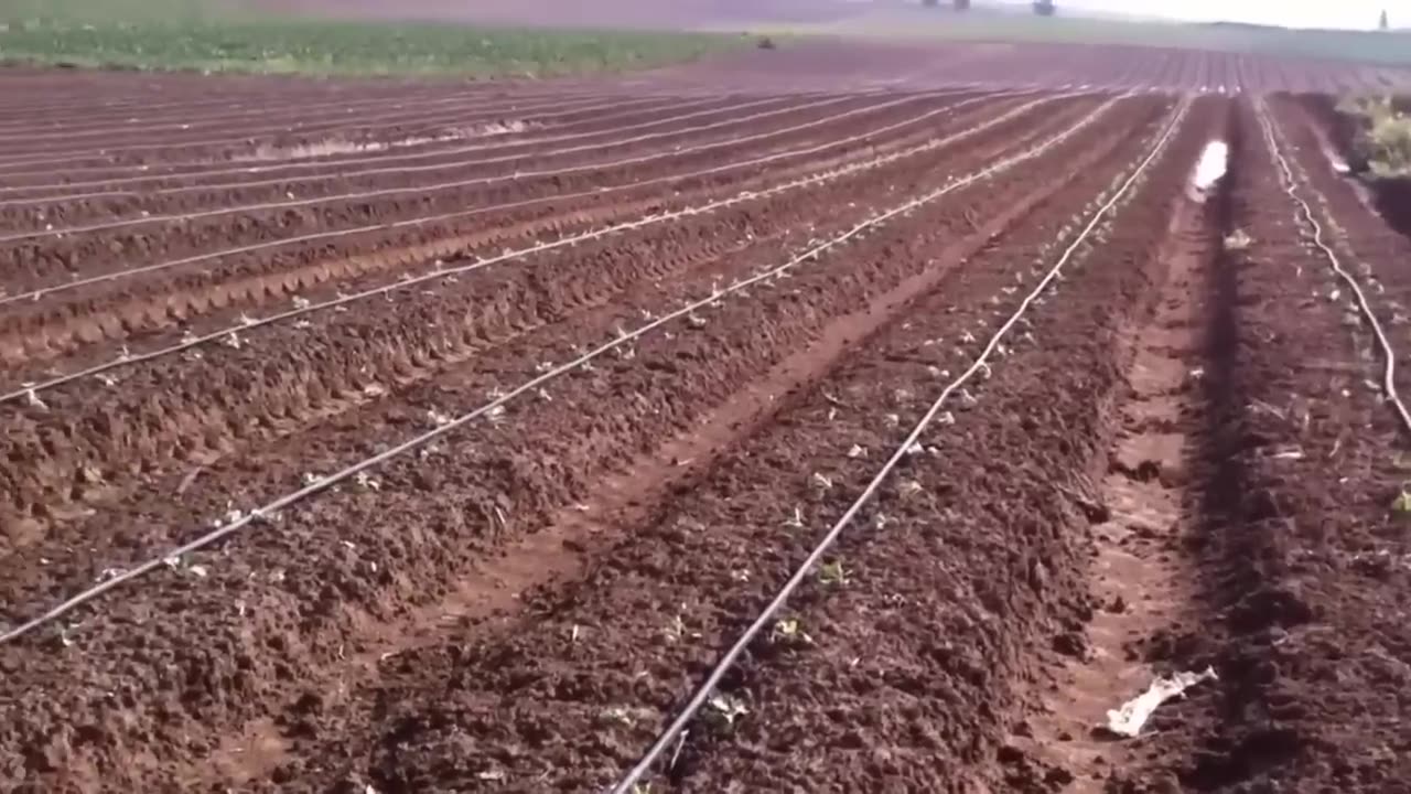 How Israel Is Transforming a Desert into Farmland