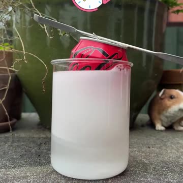 It's Not a Can - Illusion