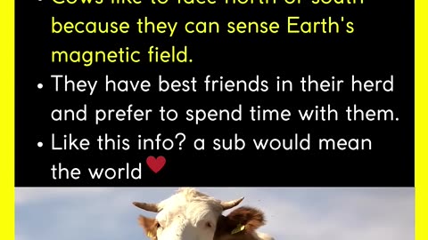 Did you know?
