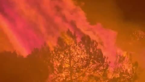 Massive wildfire flames have reached home yards in Thymari, Attica, Greece 🇬🇷