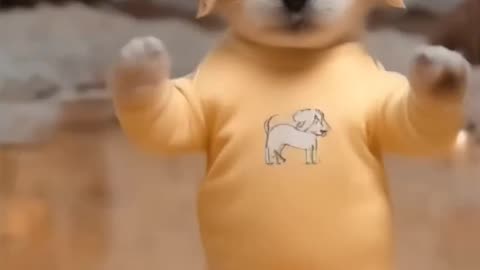 Dancing Puppy Deli 🐶😂 Cute Dog Shows Off Dance Moves