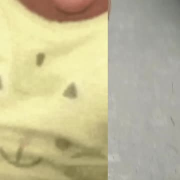 Watch the village dogs have a fun run