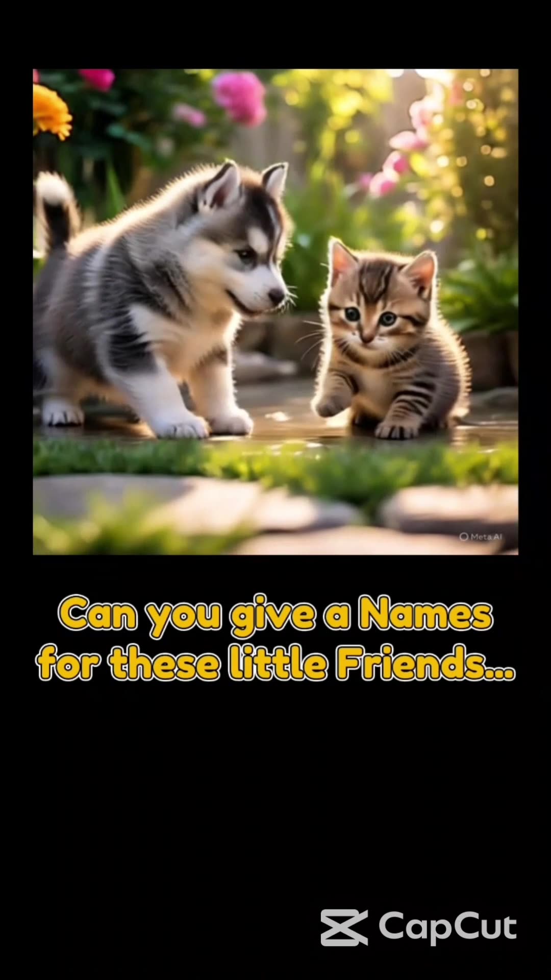 Name Something That Rumbles Guess the Perfect Names for This Puppy and Kitten!