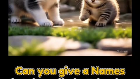 Guess the Perfect Names for This Puppy and Kitten!
