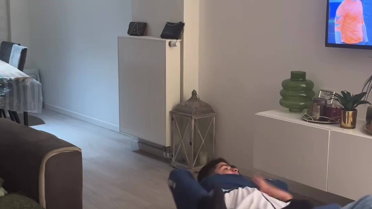 funnyvideosdaily