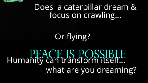 Peace is Possible