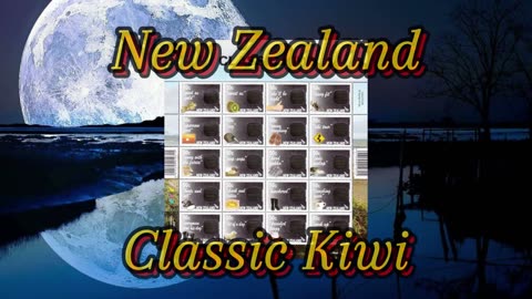 NZ Classic Kiwi