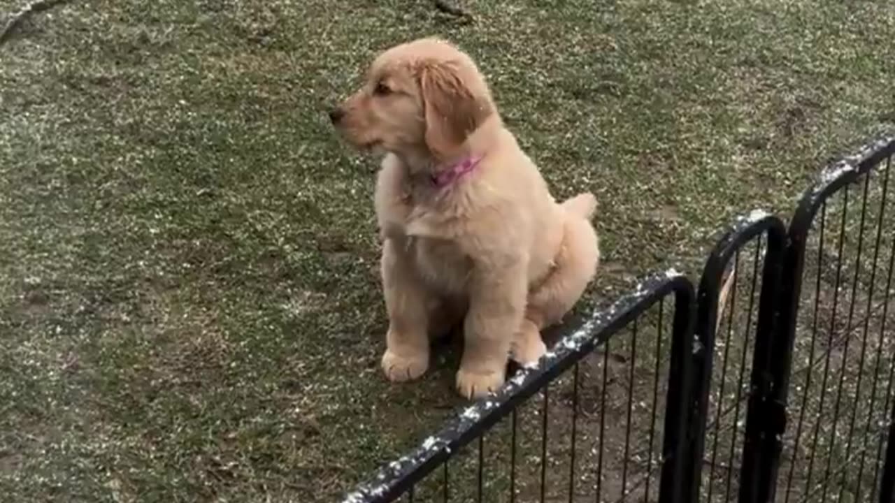 I love watching all her new experiences