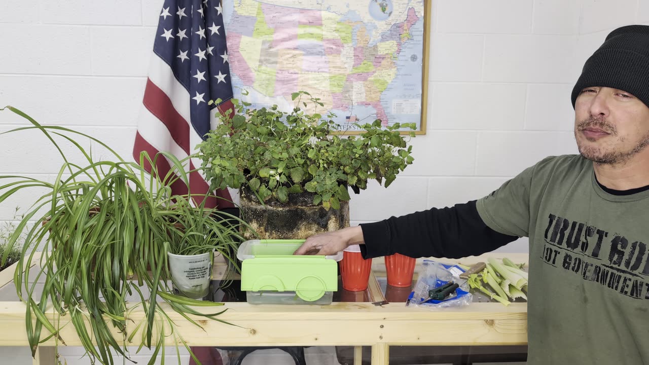Cloning Quick and Easy: clone plants and herbs