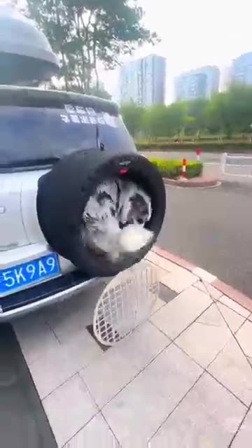 Innovative movable dog house #petsupplies #petlovers #dogtraining