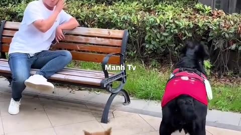 🤯🐔 The Most Ridiculous Way To Find A Chicken! | FunFM