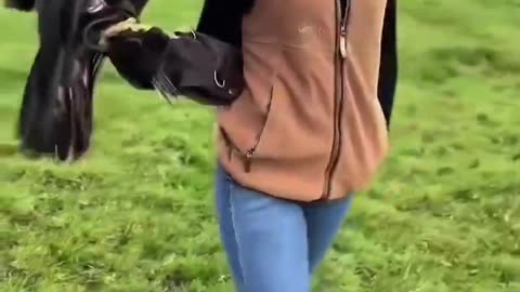 The man rescued the baby eagle from the dog and then decided