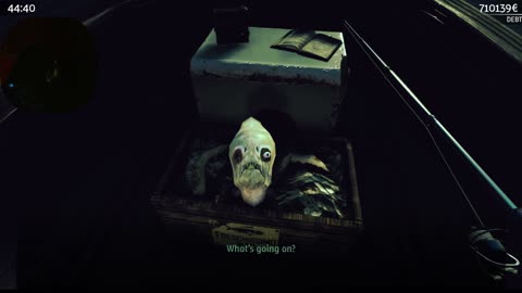 New streamer In Rumble