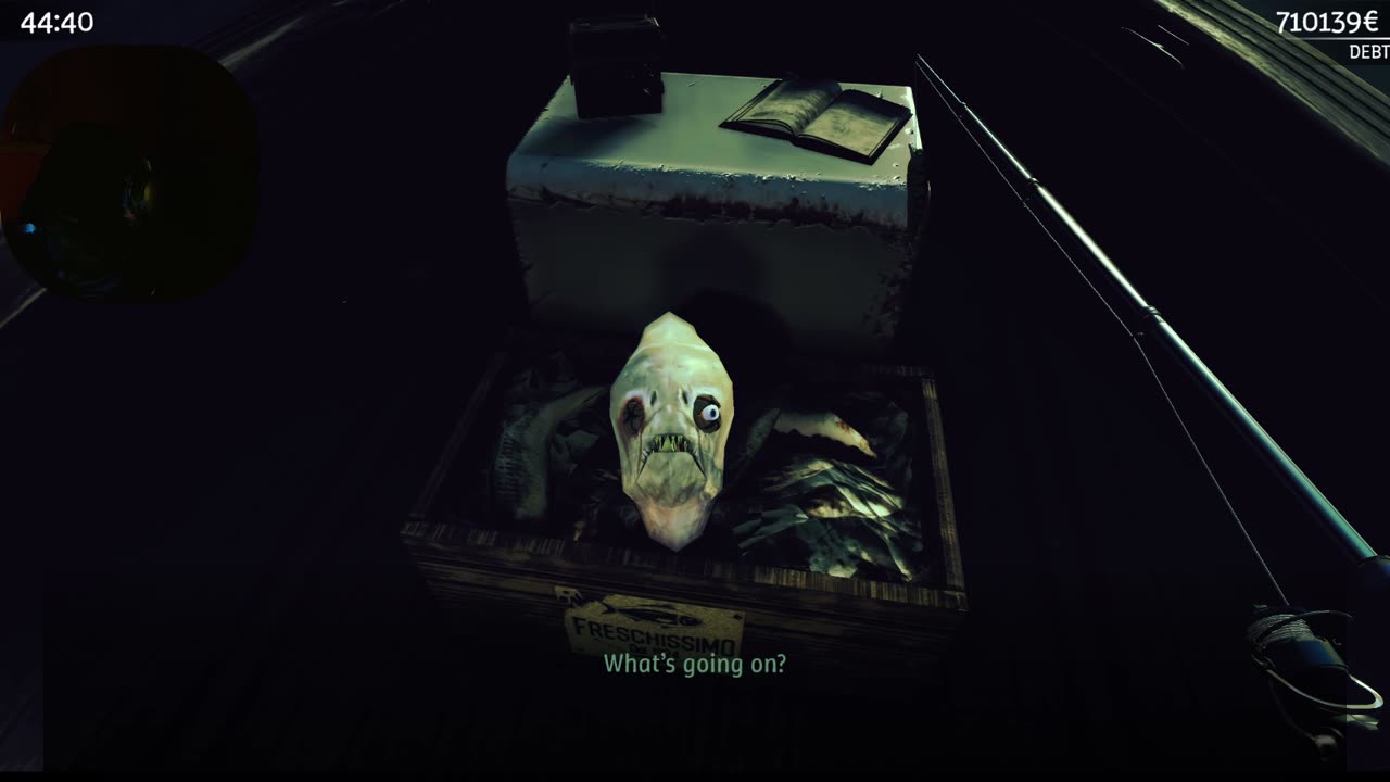 New streamer In Rumble