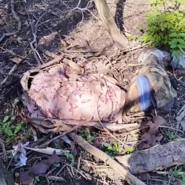 Ukraine war combat footage july 21 2025