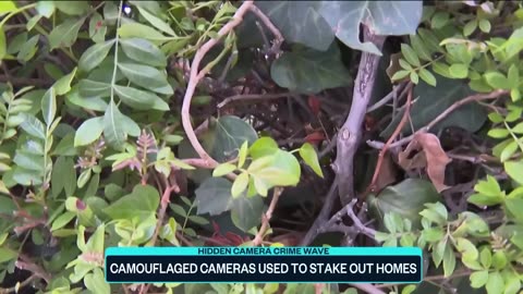 Police warn of small cameras camouflaged in yards across the country