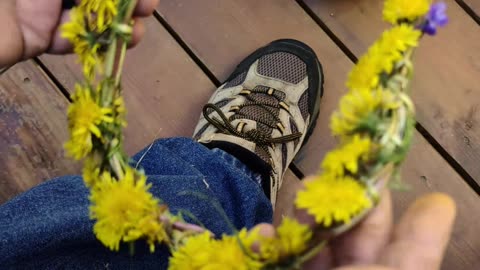 Turn Your Dandelions Into Crowns