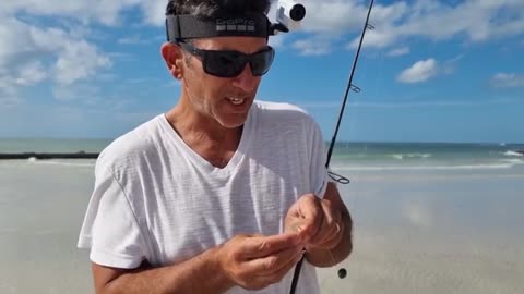 a pesca anche un bel drum fish oltre agli sheepshead pescati tutti con gli shrimp.f270_part1