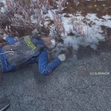 I Tried To Team Up With A Frenchy In DayZ