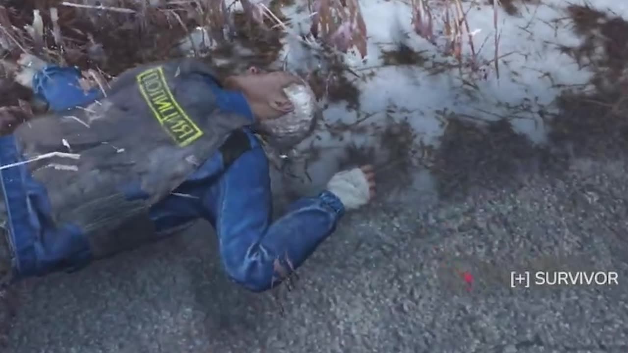 I Tried To Team Up With A Frenchy In DayZ