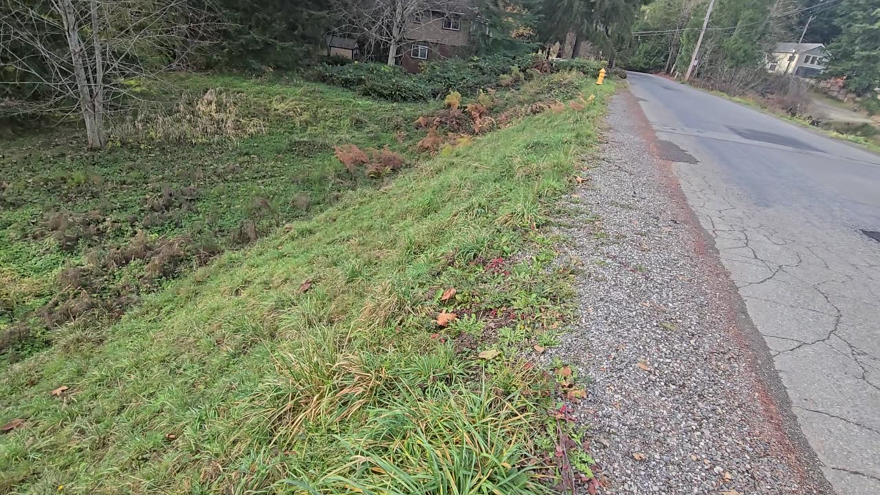 Bogus Waterfront Lot - More Like an Overflow Lot 🤣