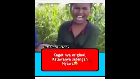 MEME YANG SAYA TEMUKAN PADA ABAD k-9