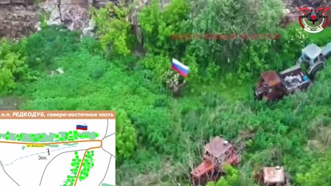Освобождение Редкодуба: ход боевых действий