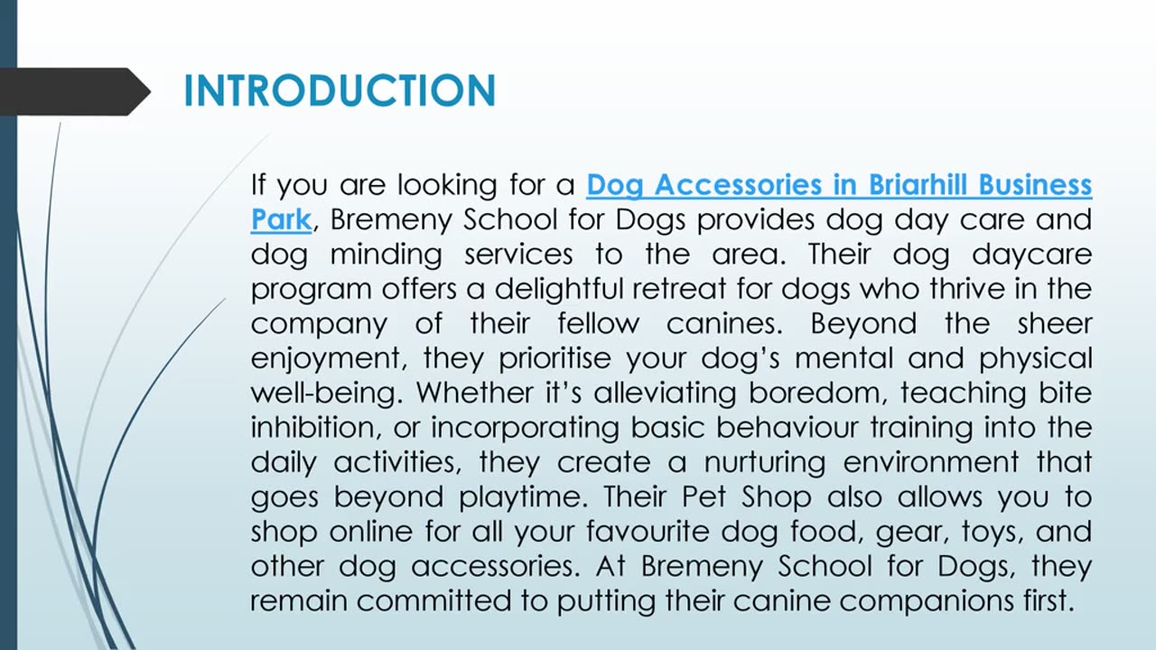 If you are looking for Dog Accessories in Briarhill Business Park
