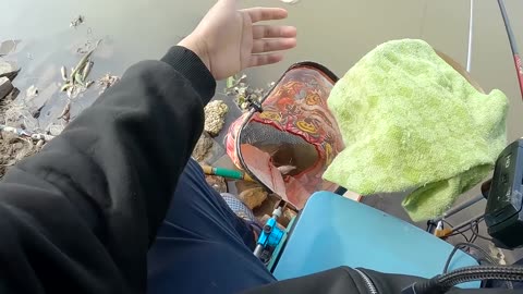 Süßwasserangeln Der große Fang