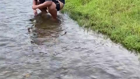 Try not to laugh 😂 🤣 , Lol 🤣 watch till the end