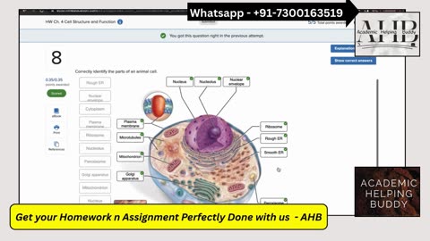 HW Chapter 4: Cell Structure & Function | McGraw-Hill Connect | BIOL 1000 Homework Help