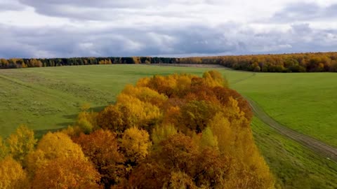 Soft Lofi R&B for Relaxing