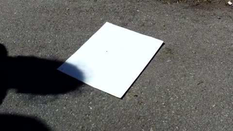 Diploma Crushed by Public - Candid